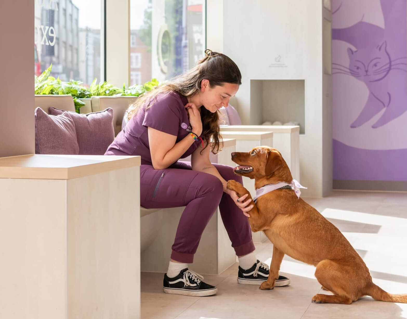 A woman in purple scrubs smiles warmly at a brown dog extending its paw, creating a joyful connection. They're in a bright room with purple accents.