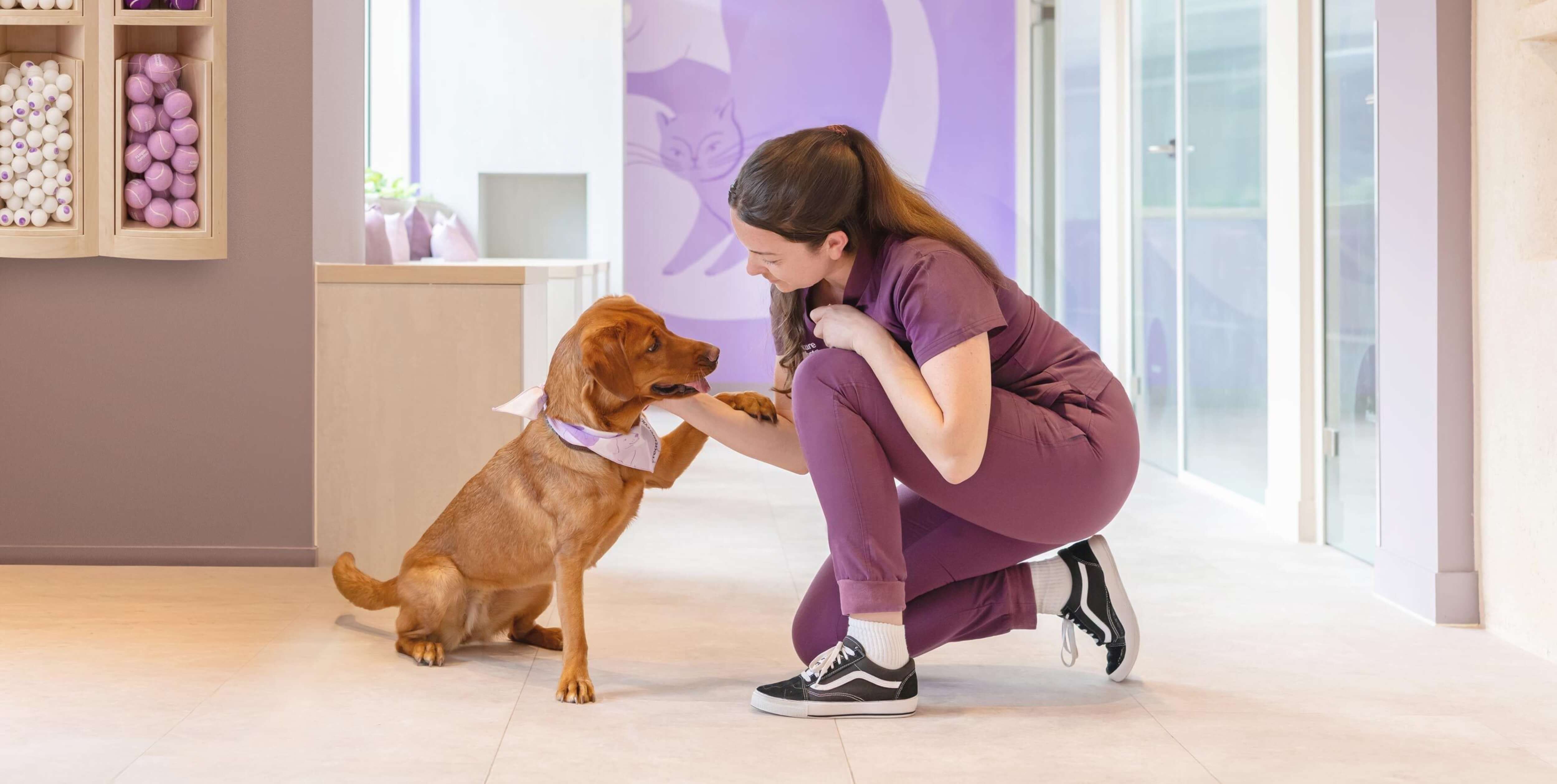 A dog in a purple bandana touches paws with a person in Creature Comforts scrubs, both engaging in a friendly interaction in a brightly lit room.