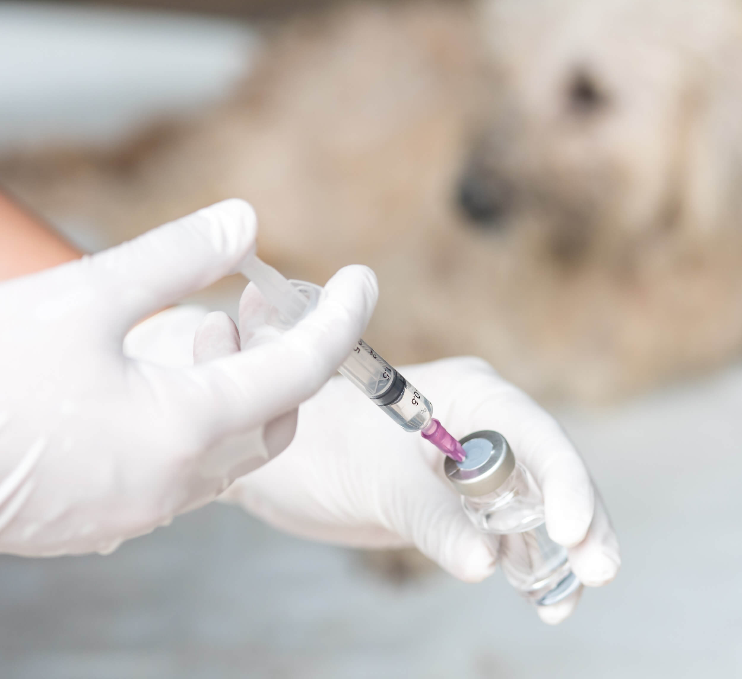 A medical professional wearing gloves draws liquid from a vial into a syringe. A blurred background is visible.